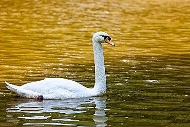 《木卫四协议》媒体评分将在发售日当天解禁